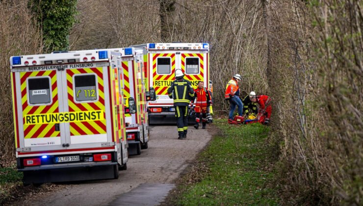 Almanya’da bir ormanda devrilen ağacın altında kalan genç kız, anne ve bebeği hayatını kaybetti