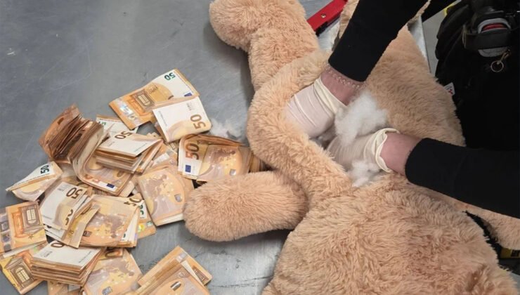 Hollanda’da bir kargo paketinden çıkan oyuncak ayının içinden tam 50 bin euro çıktı