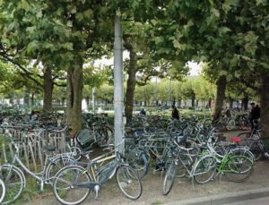 Belçika’nın Gent şehrinde üç ayda sokakağa terk edilmiş 7 bin bisiklet toplandı