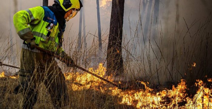 Belçikalı araştırmacılar ülkeyi orman yangınlarına karşı hazırlıksız buluyor