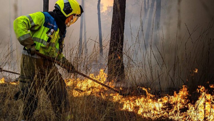 Belçikalı araştırmacılar ülkeyi orman yangınlarına karşı hazırlıksız buluyor