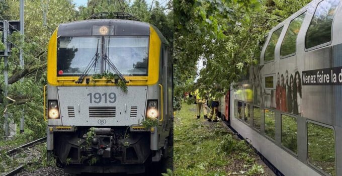 Brüksel’de bir ağacın trenin üzerine devrilmesi nedeniyle 270 yolcu tahliye edildi