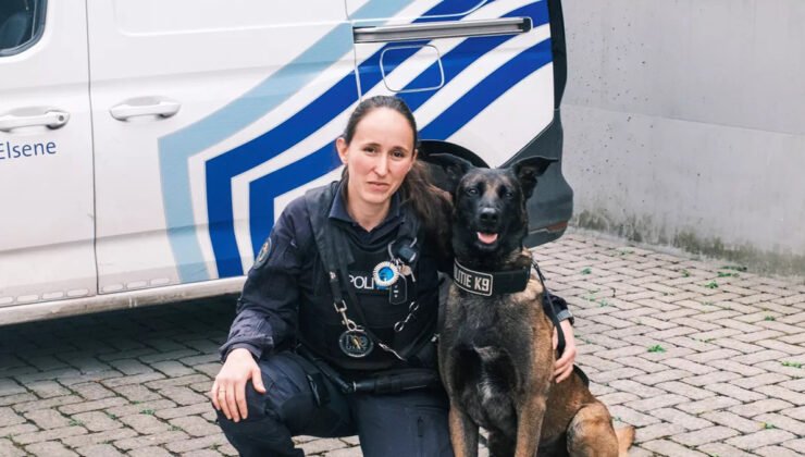 Brüksel’de Polis köpeği “Bob”un sokaktan teşkilata uzanan başarı hikayesi