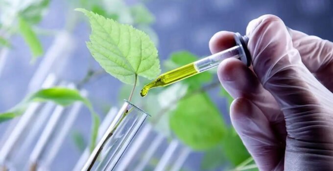 Avrupa Parlamentosu, genetiği düzenlenmiş bitkiler için kuralları gevşetti