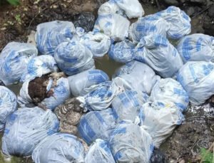 Belçika’da hayvan iç organlarının yol kenarına bırakılması büyük tepki çekti