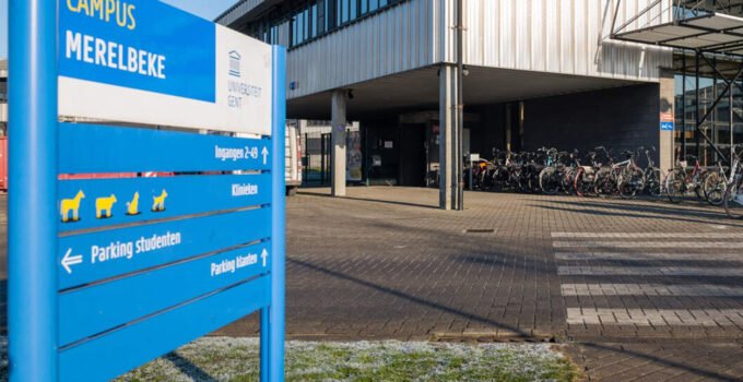 Gent üniversite hayvan kliniğinden kaçan köpek, feci şekilde can verdi
