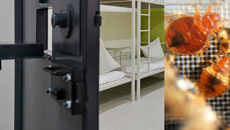 Gent cezaevine yeni gelen mahkumun beraberinde taşıdığı tahtakurular alarm yarattı