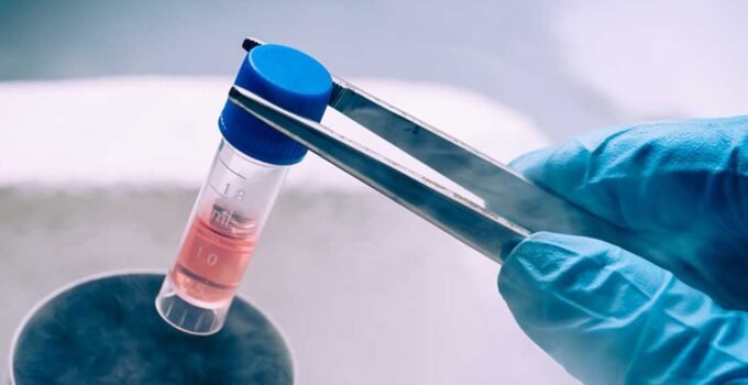 Belçika İlaç Ajansı Türkiye’deki kök hücre tedavilerine karşı uyardı