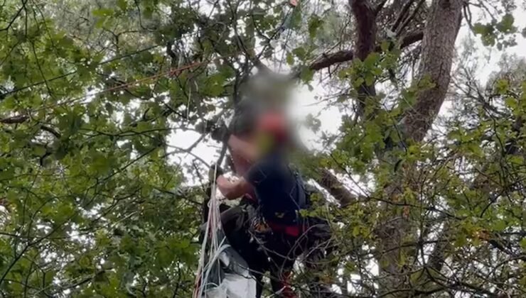 Belçika’da Paraşüt Kazası: 1 Asker Ağır, 4 Asker Hafif Yaralandı