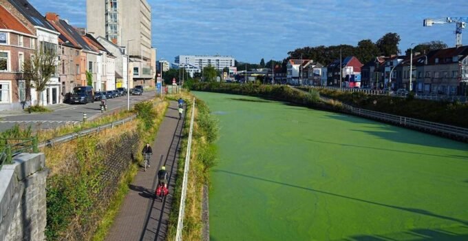 Gent’te Yeşil Su Görüntüsü Endişelendirdi